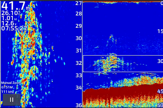 A fishing sounder screen showing fish and bait