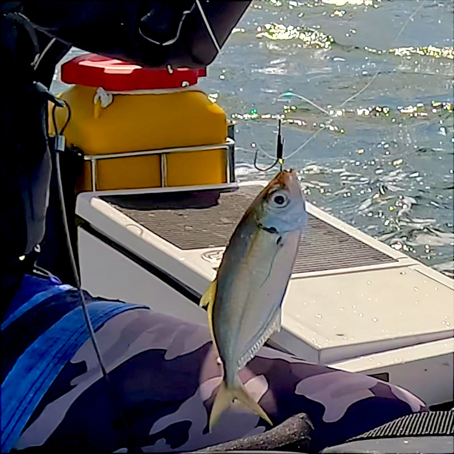 Jetcast  "Live Keeper" Live Bait Hook